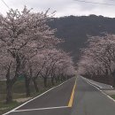 두지숲농원