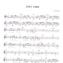 넝쿨담쟁이 이미지