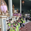 106.비룡태권도_1 | 둘째가 먼저 다니고 첫째도 등록했어요 형제가 함께 다니는 신월동태권도 신월7동태권도 비룡태권도