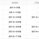 서울키즈파파치과의원 이미지