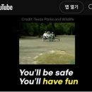 비헤브(BE HAVE) 이미지