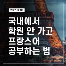학원보다 나은 아멜리 전화 프랑스어(Améli français) 후기