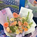 원도안로-5 이미지