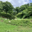 데미샘 꿈그린 목장 이미지