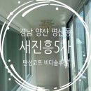 세븐일레븐 양산새진흥점 | 비디솔루션 양산탄성코트 - 평산동 새진흥5차아파트 탄성코트 후기