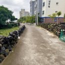 곽지머물다 이미지