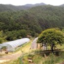 한아름 유치원 이미지