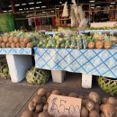 사모아 호스텔 이미지