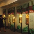 심봤다민박 이미지