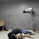 보람그루밍 이미지