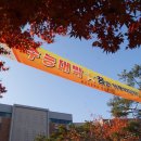 용호고등학교 이미지