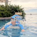 [남부] 나도바리스타 B(2025) | 왓츠인마이블로그 2주차 돌아기랑 오키나와 여행 2~3일차