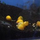 베스트피쉬 수족관 이미지