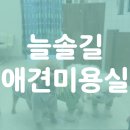 늘솔길애견미용실 이미지