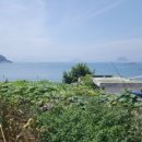 비진도시원한민박 이미지