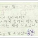 리이브 Daum카페