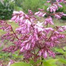 지혜농장 이미지