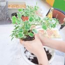 현화유치원 이미지