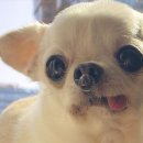 노트폴리오 워크숍 후기 | AI + BX 디자인 올인원 워크숍