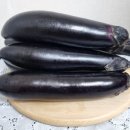 백신농장 이미지