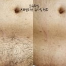 회원동124 이미지