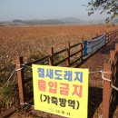 나주2농장 이미지