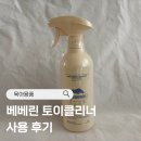 A등급 토이클리너 추천 ::: 베베린 토이클리너 사용 후기