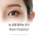 하라라성형외과의원 | 부산 눈성형 잘하는 곳, 이런 기준으로 확인해 보세요!