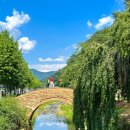 브라운힐프 이미지