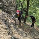 보건진료소 길 앞 Daum카페