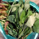 황골농장 이미지