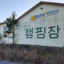 벨리타 캠핑장 | 제주도캠핑 벨리타캠핑장 벚꽃 후기