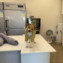 달곰의 부뚜막 이미지