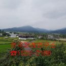 천국장례문화 Daum카페