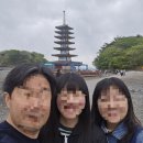 맘모스의류타운 이미지