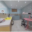 개미용중 이미지