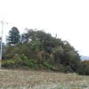 청일파출소 이미지