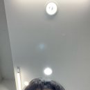 아라헤어샵 | [압구정로데오] 압구정미용실 아라알레스 뿌리매직 후기