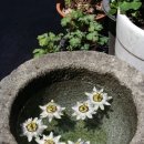 소나무 철물점 이미지