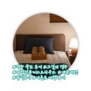 경주 여성전용 게스트하우스 그날의 경주 솔직 후기