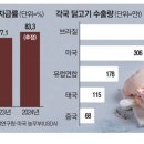 큰닭치킨 이미지