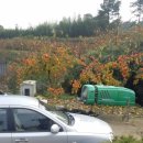 다원농장 이미지