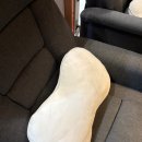 더봄치과기공소 | 대전 더봄치과에서 매복사랑니 발치한 후기