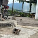 남해할무니댁 이미지