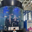 주말에 아이랑 가기 딱 좋은 곳! 41개월 아이와 함께한 여수 전남해양수산과학관 솔직 후기 🐟🌊