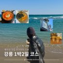 금성로4(동) | 강릉여행 주말 뚜벅이 1박 2일 코스 웨이팅 맛집 카페 솔직 후기