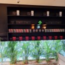 홍대스테이지(ㅎㄷSTAGE) | 서울 홍대 대형카페 ㅎㄷ카페 파나마게이샤 커피 케이크 디저트 맛집