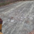 신성리 공룡발자국 이미지