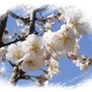 시대무도장 이미지