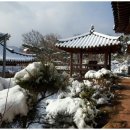 더숨민박 이미지